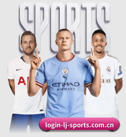 五大服务分区,信息按项目分类